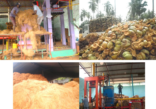 Coir Fibre-Bristle Fibre-process